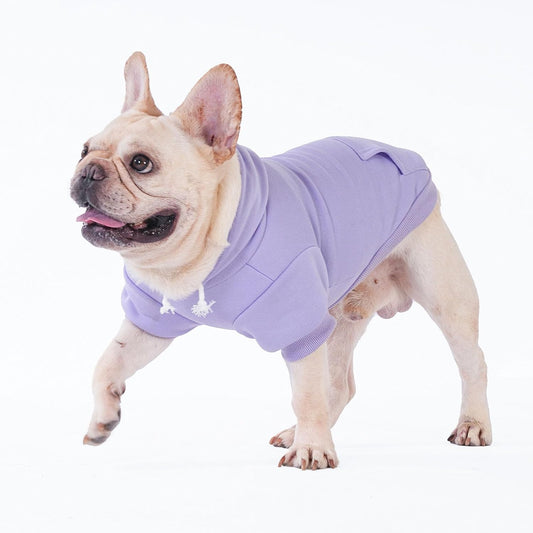 Soft Dog Hoodie with Hood
