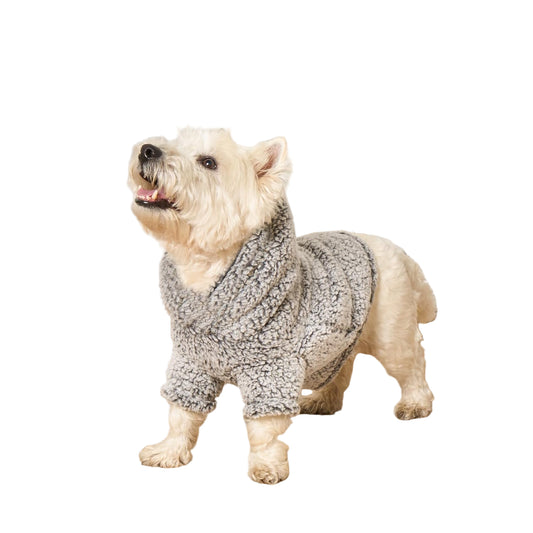 Teddy Fleece Hoodie for Dogs – Gray