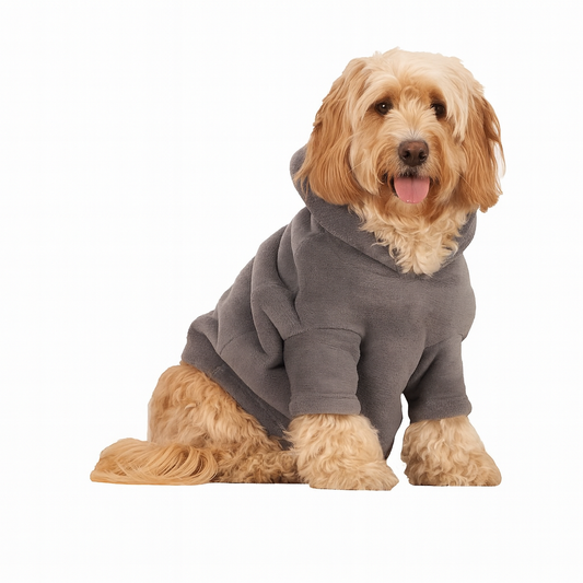 Fleece Dog Hoodie in Anthracite Gray